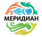 Меридиан АО