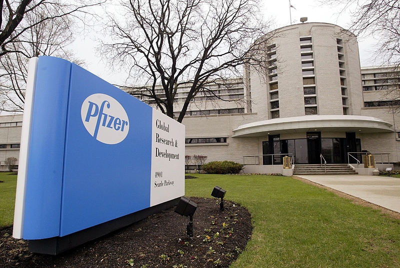 Файл:Photo 5260448413860433025 w.jpg