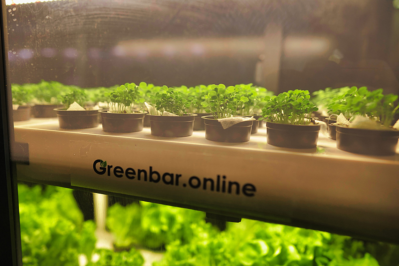 Файл:19a162 096bbbfeefc54e7f889bb0ed49c2c365~mv2.jpg