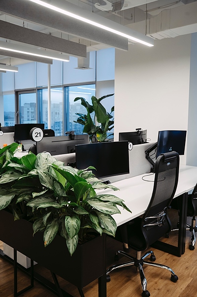 Файл:Image023 д5.jpg