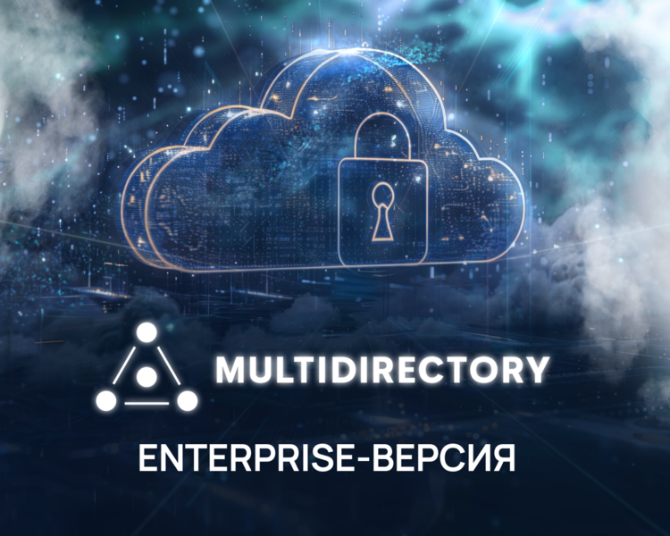 Файл:Enterprise-версия MD.png