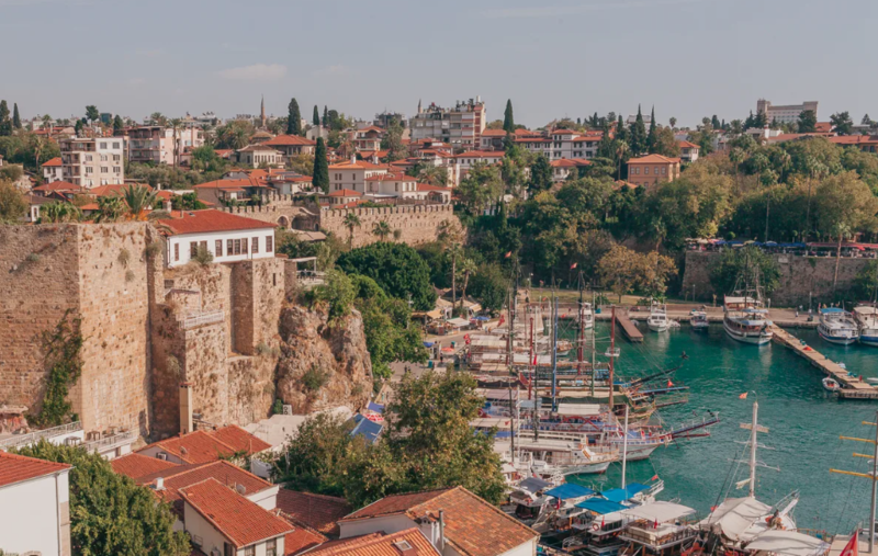 Файл:2026-01-20 18-19-13.png