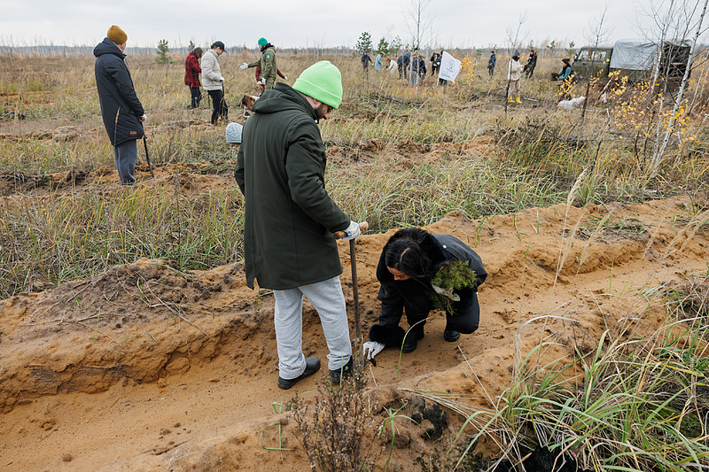 Файл:3data 1.jpg