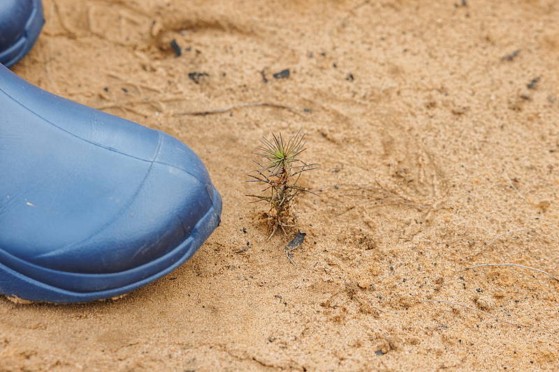 Файл:3data 2.jpg