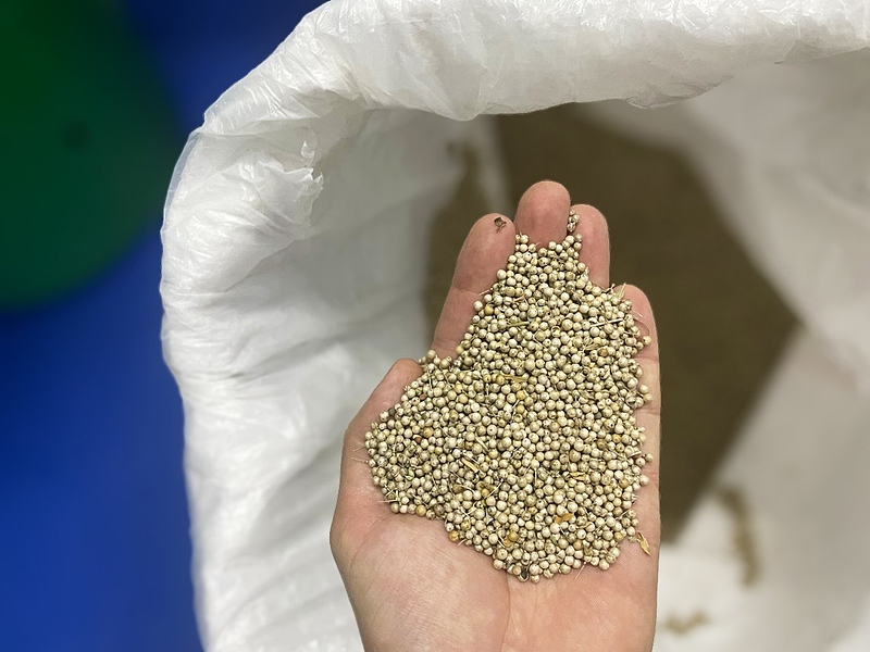 Файл:Photo 2025-06-09 16-05-18.jpg