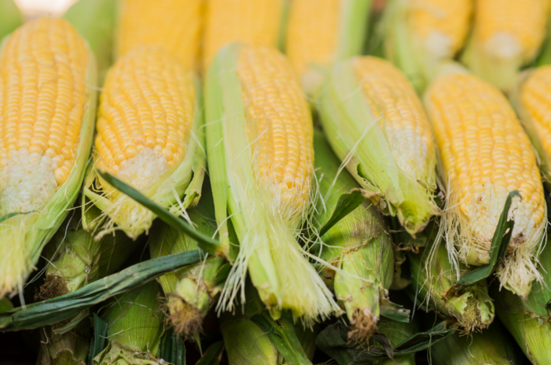 Файл:2025-09-16 19-07-36.png