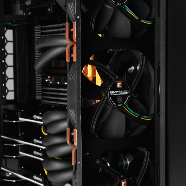 Файл:1600x1600 10 (1).png